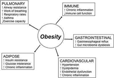 Influence of Obesity on Pneumococcus Infection Risk in the Elderly